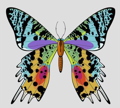 Beautiful butterfly layered vector psd